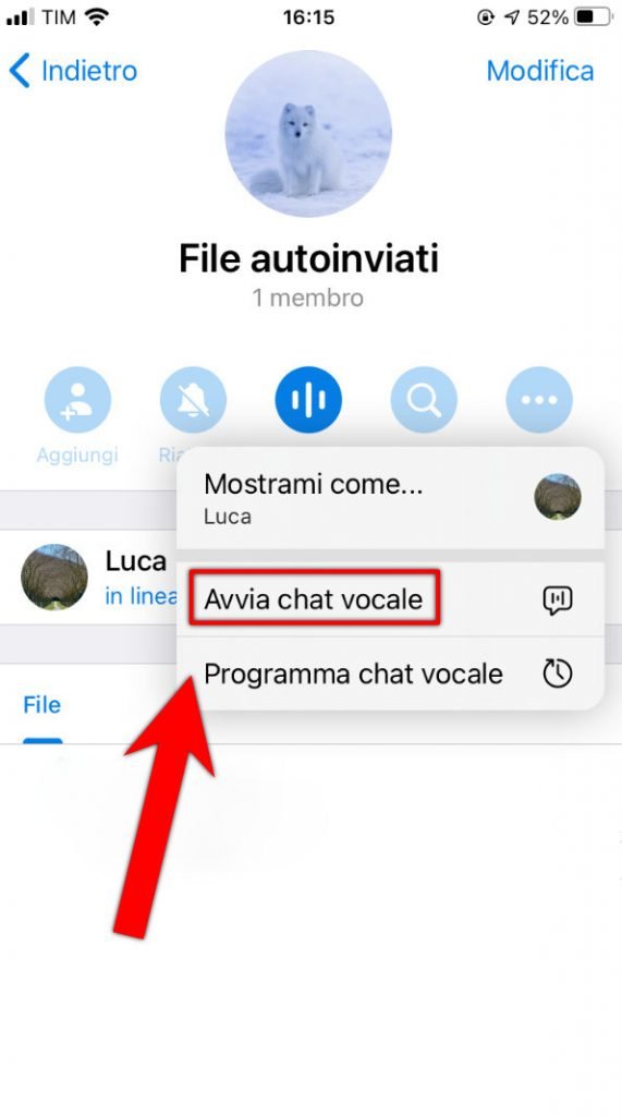 Come condividere lo schermo su Telegram Menu Avviare una chat vocale 3